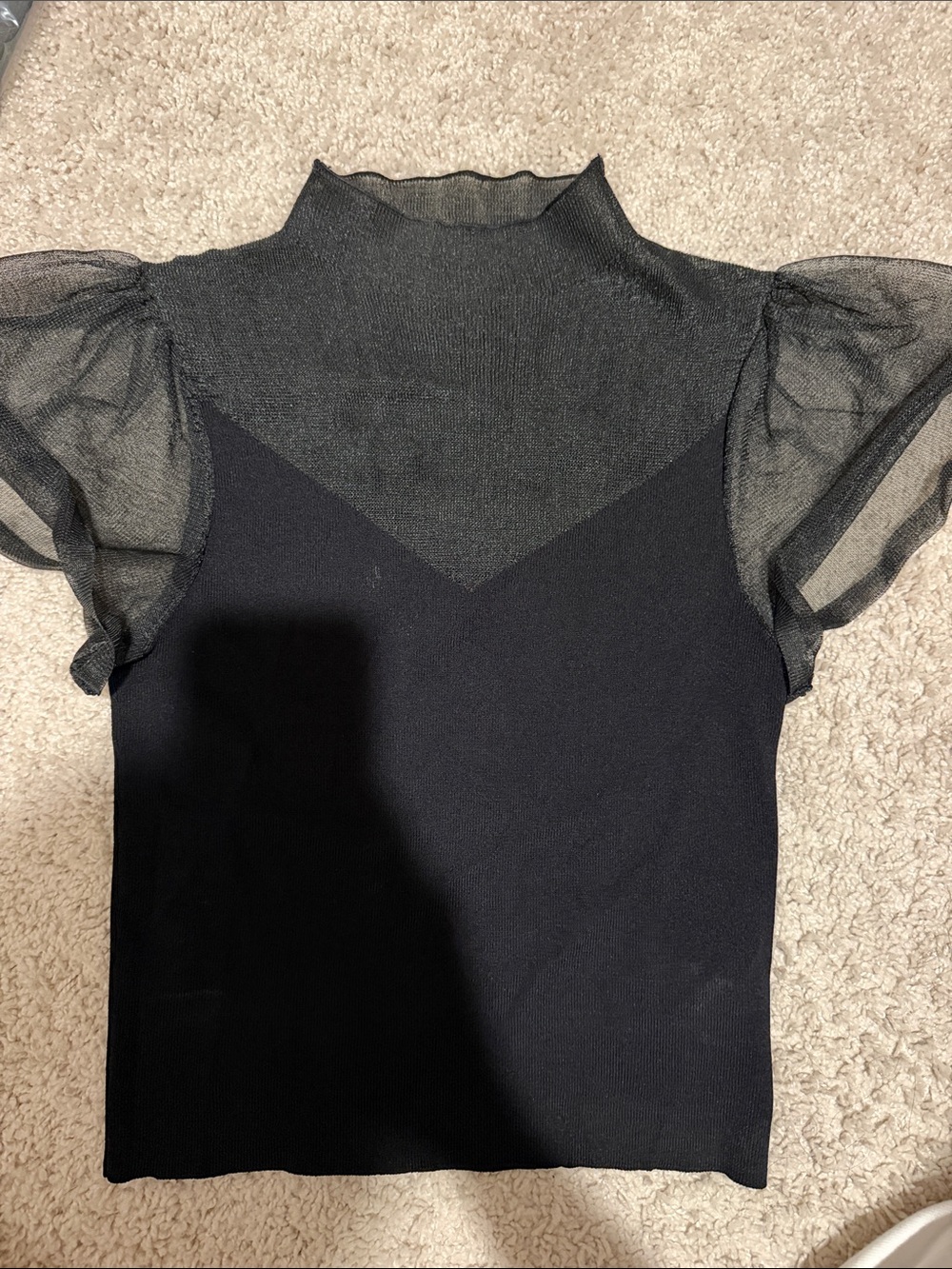 Zara Black Sheer Puff-Sleeve Mock Neck Top
